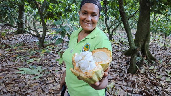 PEG - Kakaobäuerin Marisol Villar Batista Eine Kakaobäuerin zeigt eine aufgeschnittene Kakaofrucht.