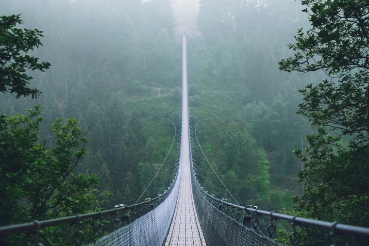 PEG - Schritt für Schritt zum Nachhaltigkeitsbericht PEG - Händebrücke im Wald