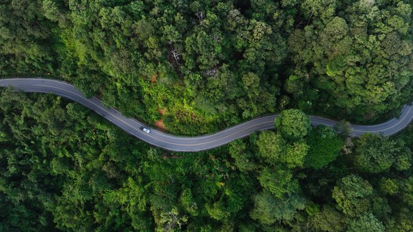 PEG - Nachhaltige Beschaffung PEG - Drohnenaufnahme einer Straße im Wald