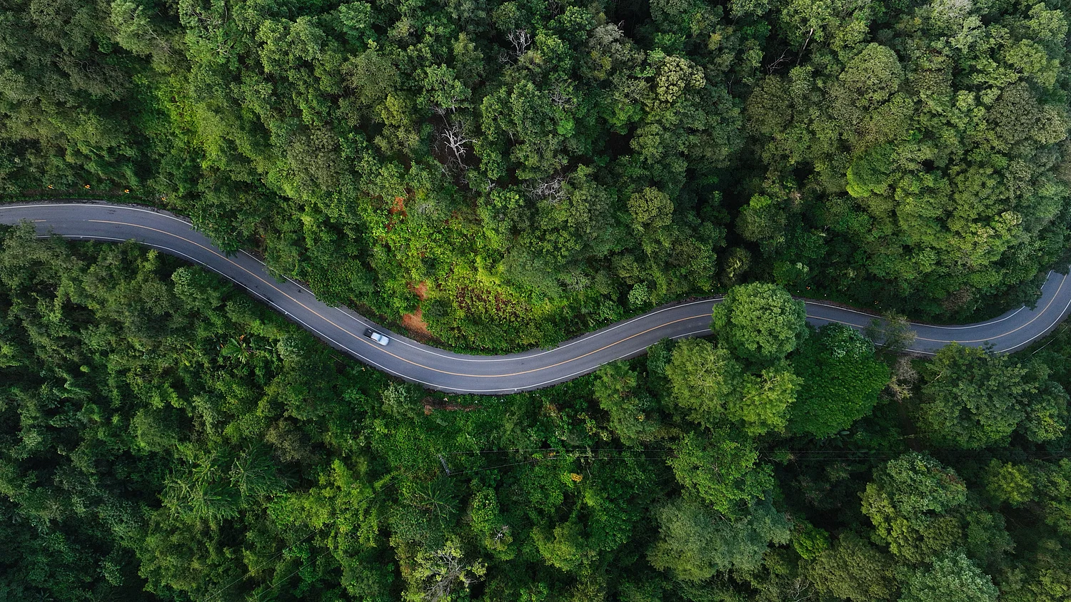 PEG - Nachhaltige Beschaffung PEG - Drohnenaufnahme einer Straße im Wald