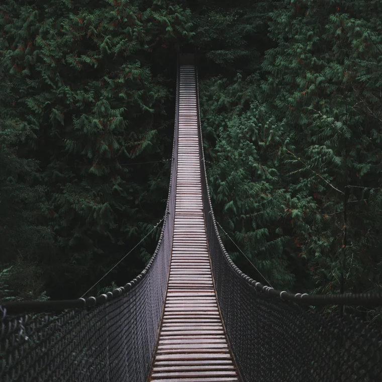 PEG - Brücke hängt über einen Wald 